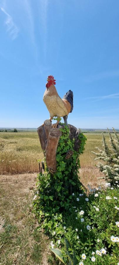 Masseria Milu' シポント エクステリア 写真